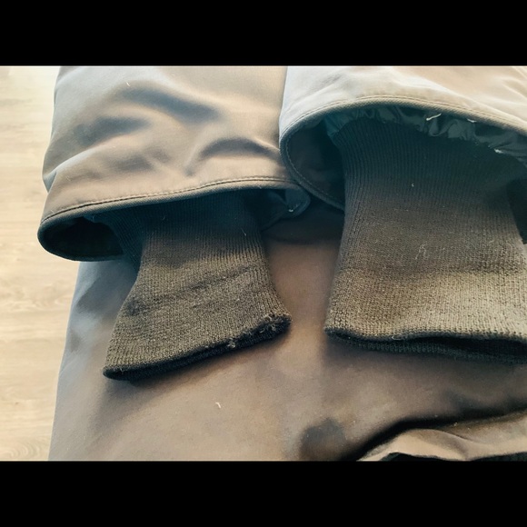 Canada goose - Picture 1 of 3